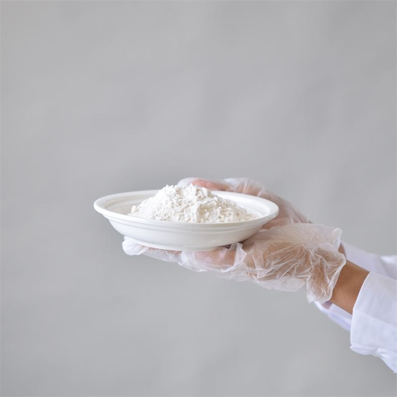 腺苷 5-三磷酸二钠盐 CAS 987-65-5